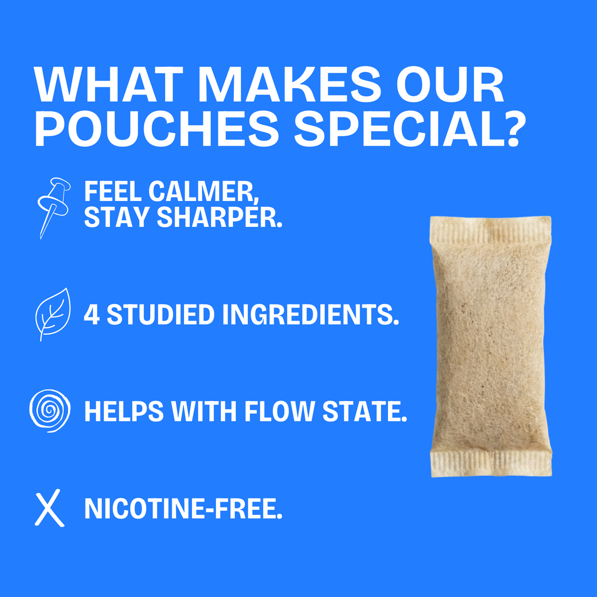 Loosey Goosey Nic-Free Wellness Pouches-3PCS